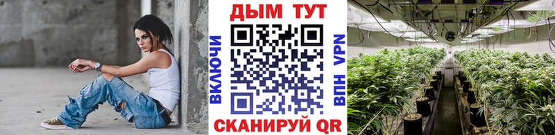 Шишки марихуана планчик  Братск 